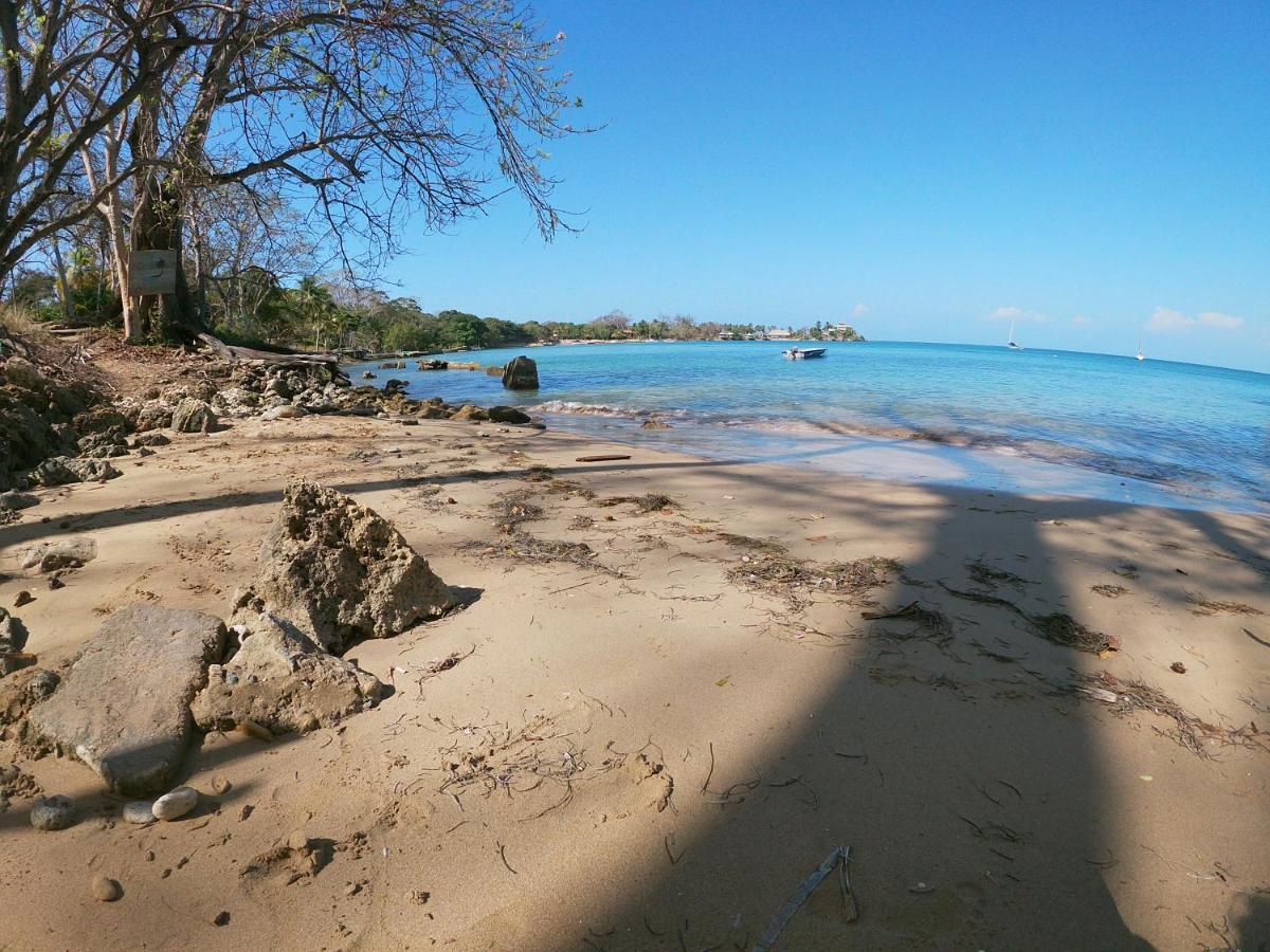 Private Beach House Maloka Surf Puerto Limon 외부 사진
