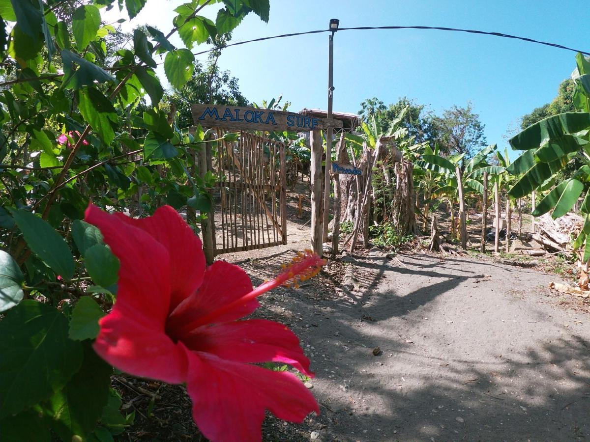 Private Beach House Maloka Surf Puerto Limon 외부 사진