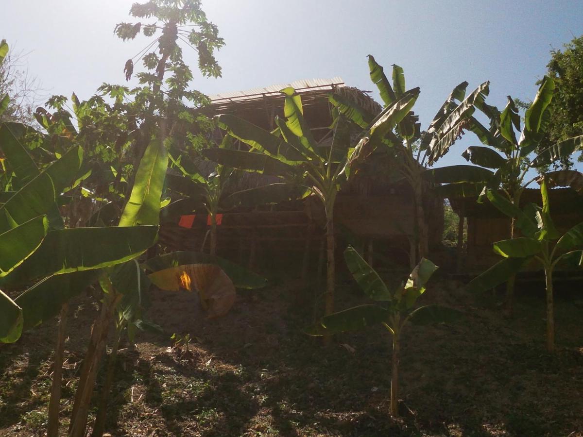 Private Beach House Maloka Surf Puerto Limon 외부 사진